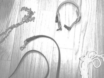 QUASI TUTTO IL NECESSARIO